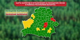 Карта запретов и ограничений на посещение лесов в районах Республики Беларусь